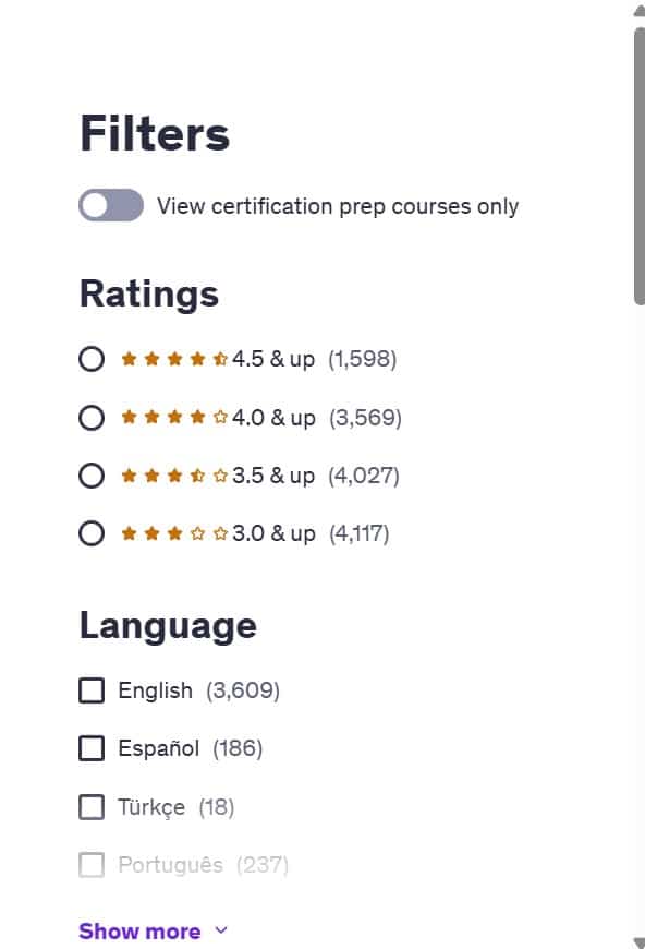 Udemy filters