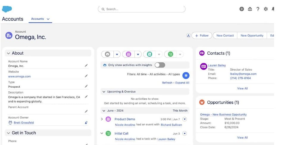 Screenshot of Salesforce's interface