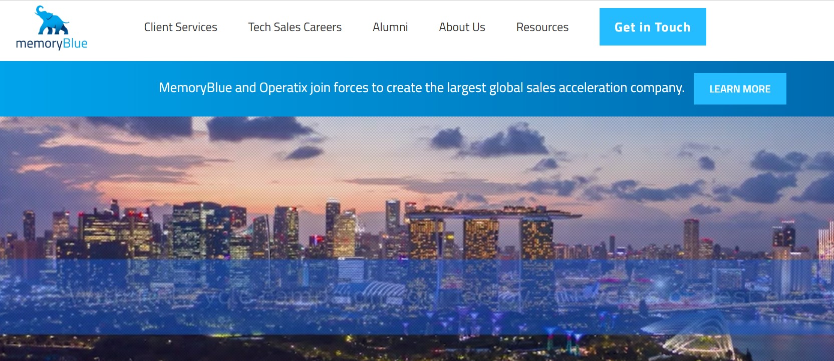Screenshot of MemoryBlue homepage