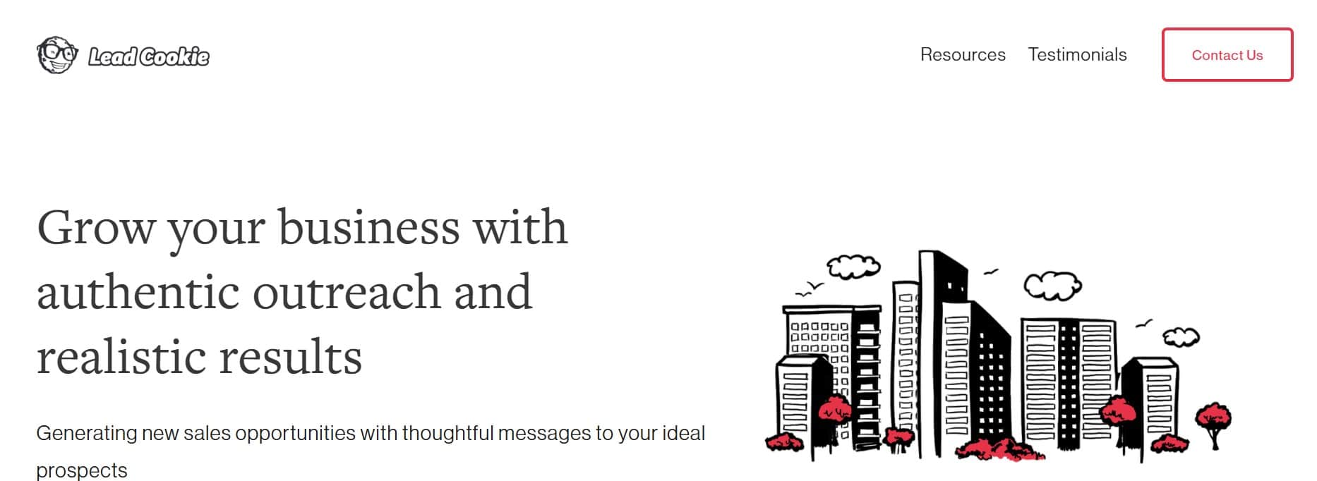 Lead cookie screenshot of their homepage